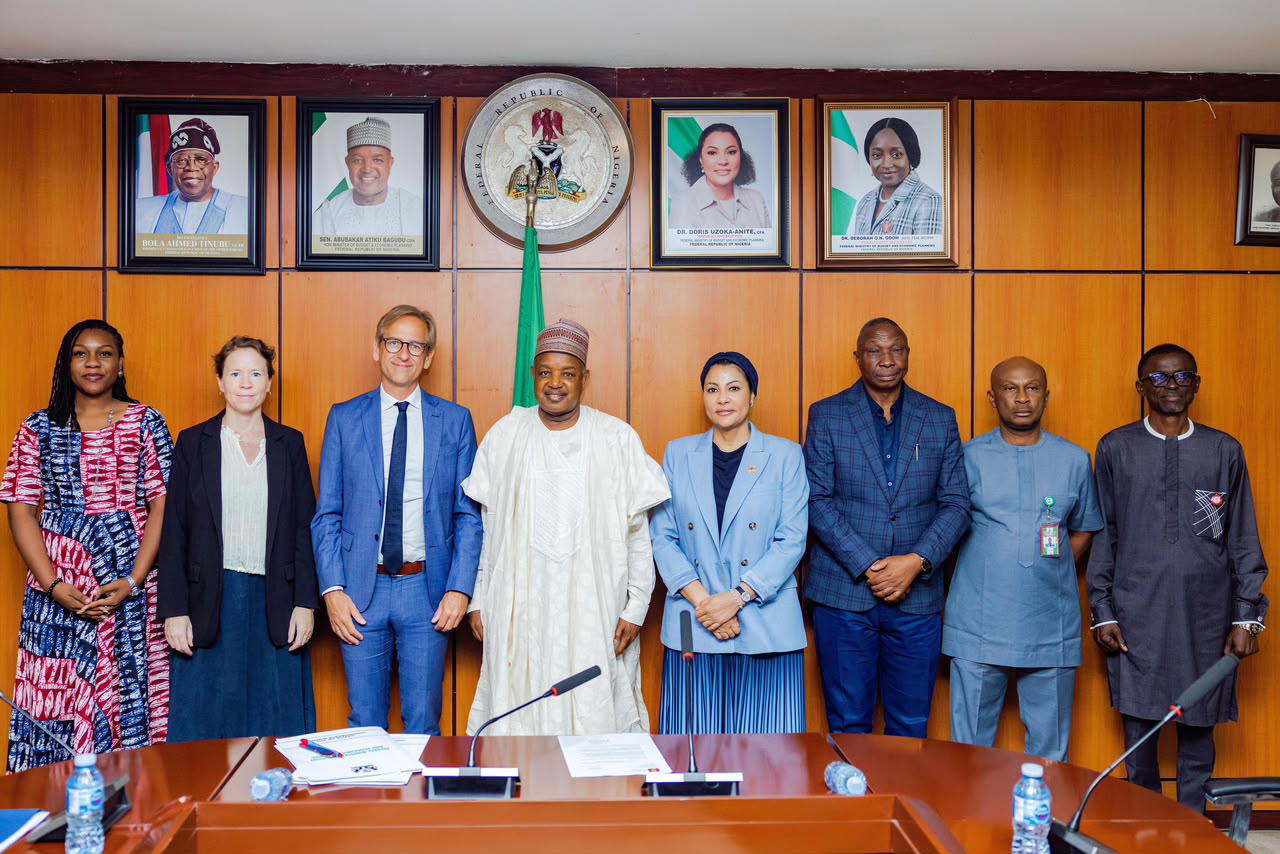 Bagudu woos Denmark, seeks deeper trade, investment ties